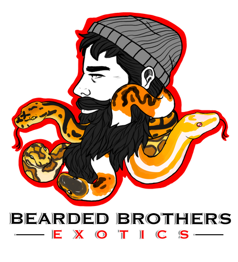 Exotic Snakes Breeder Logo Concept